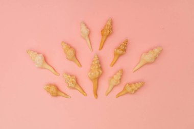 Yumuşak pembe bir zemine dağılmış kabuklar.