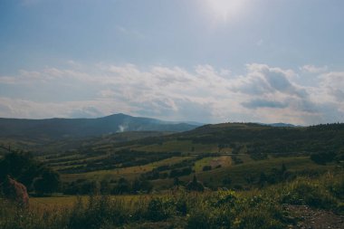 Bulutlu dağ manzarası, vahşi yaşam
