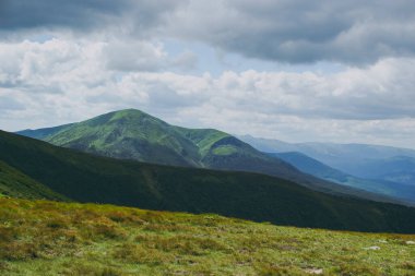 Bulutlu dağ manzarası, vahşi yaşam