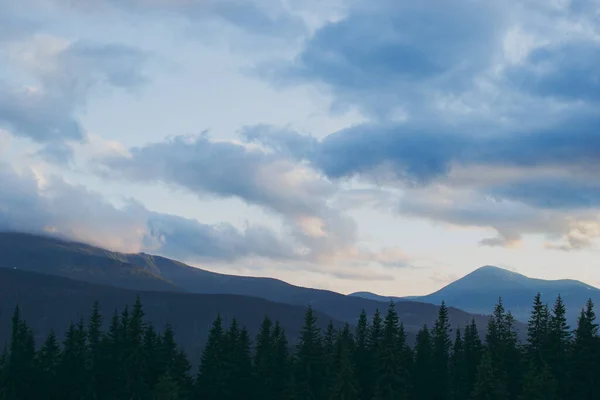 Paysage Montagne Avec Nuages Faune — Photo