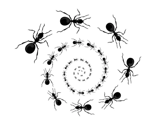 Ein Ameisenpfad läuft auf. Blick von oben. Vektorillustration im flachen Cartoon-Stil — Stockvektor
