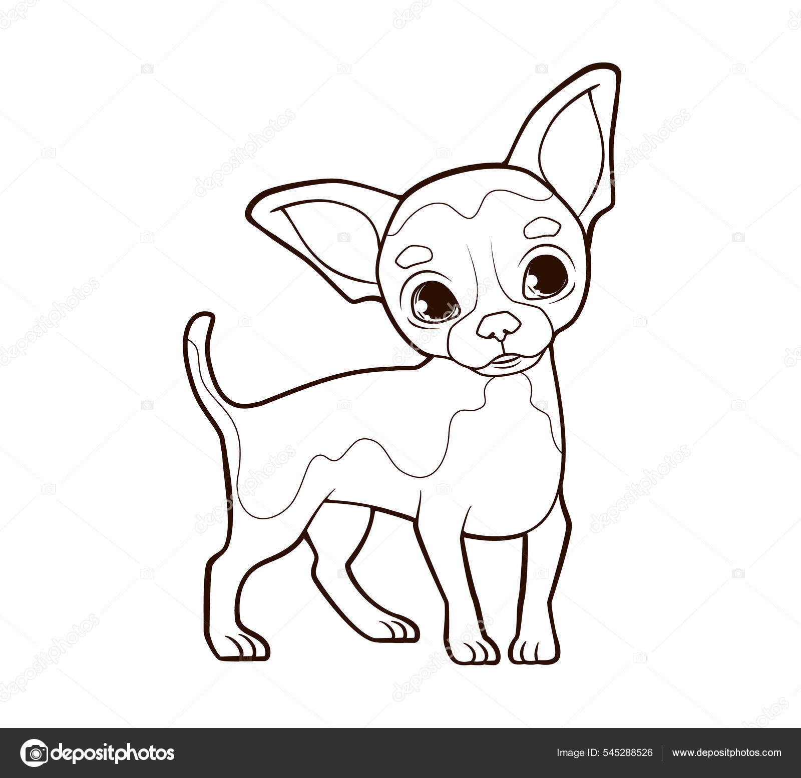 Coloring book Little funny chihuahua dog with big ears stands on thin paws.  Vector illustration in cartoon style, black and white line Stock Vector  Image by ©HannaShvets #545288526