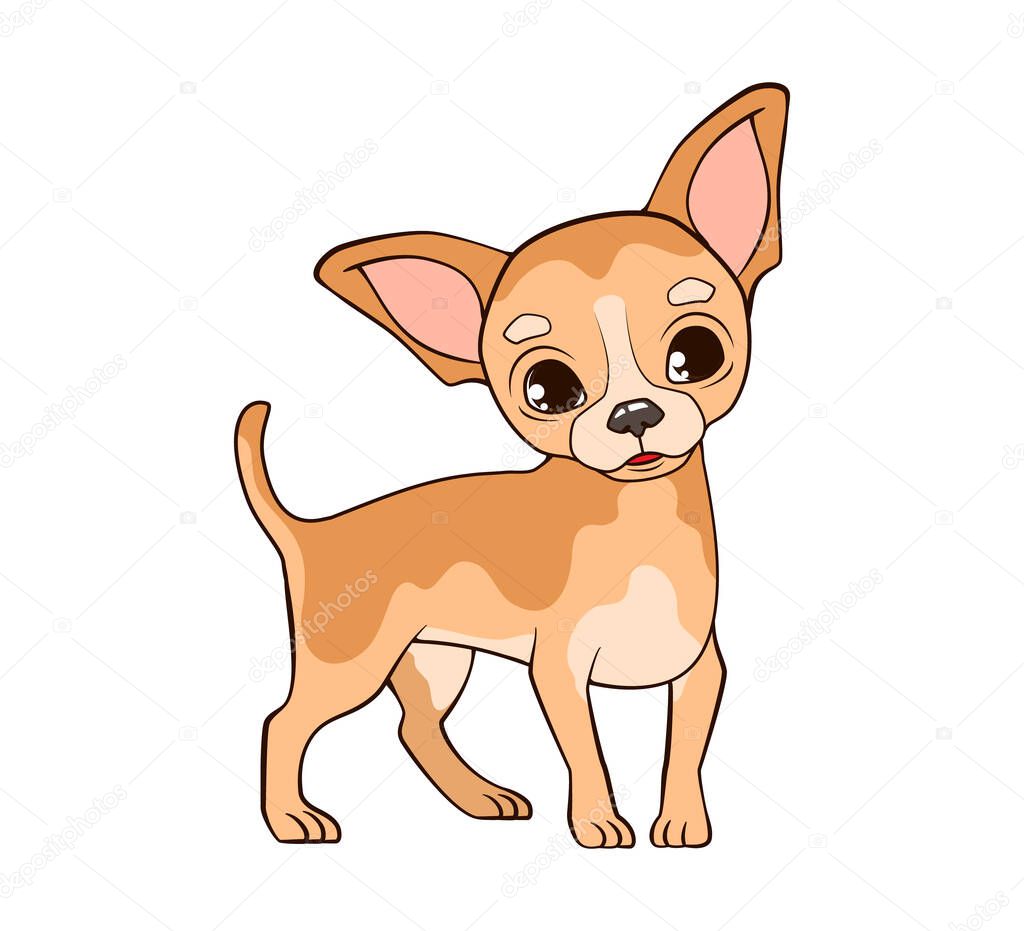 Little funny chihuahua dog with big ears stands on thin paws. Vector illustration in cartoon style, black and white line