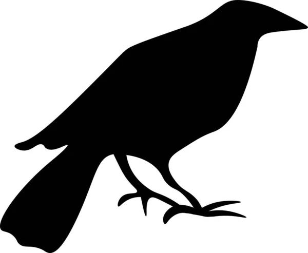 Black Silhouette Raven — Stock Vector