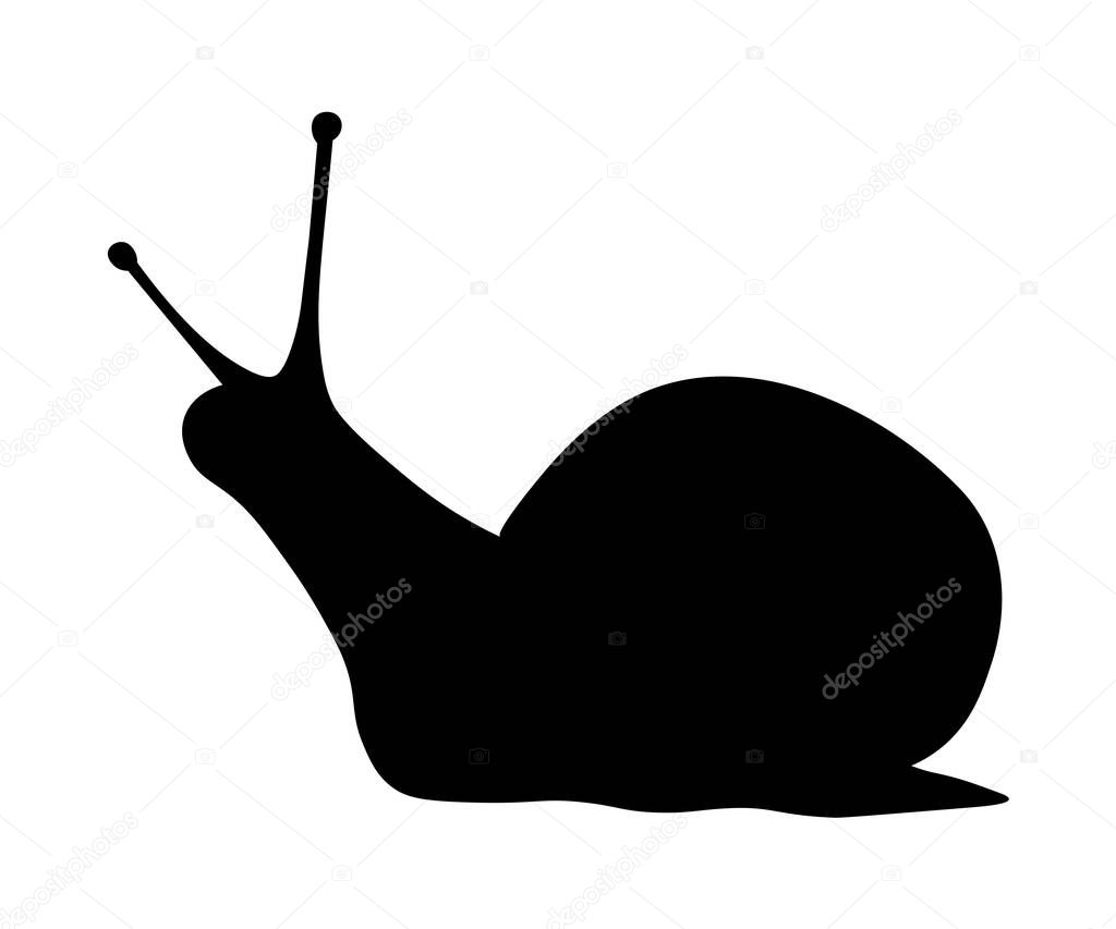 Black silhouette of a snail