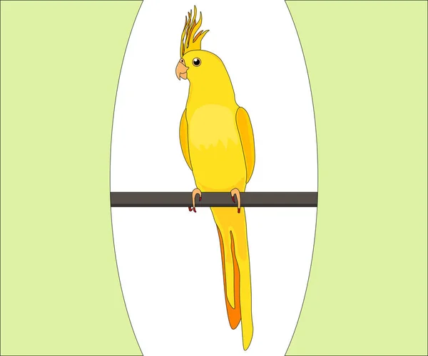 Loro Amarillo Corella Sienta Una Percha — Vector de stock