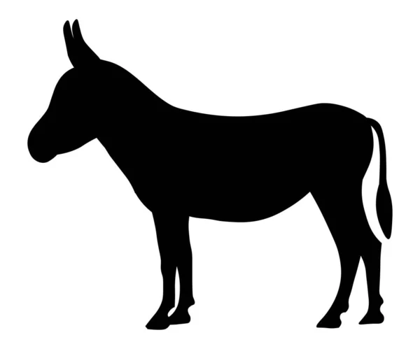 Black Silhouette Standing Donkey — Stock Vector