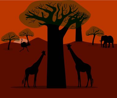Afrika savanasında akşam - zürafalar, filler ve devekuşları