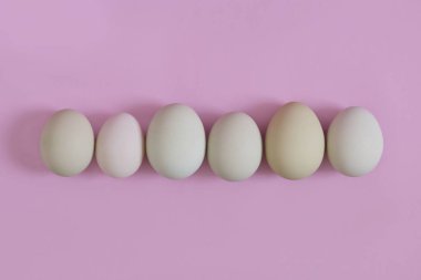 Sıraya dizilmiş yumurtalar aynı zamanda farklıdır. Eşitlik kavramı