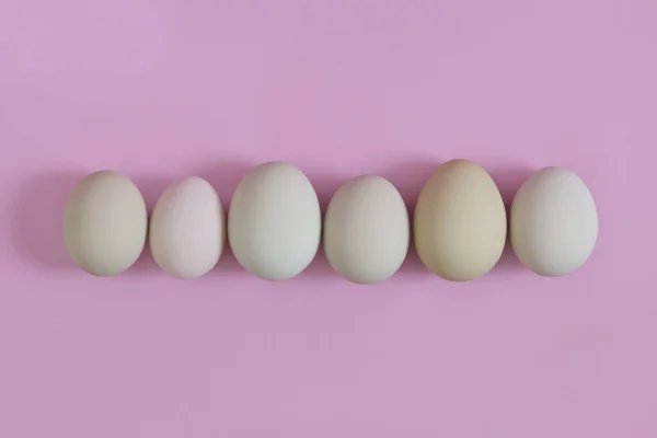 Los huevos en una fila similares, pero al mismo tiempo diferentes. Concepto de igualdad —  Fotos de Stock