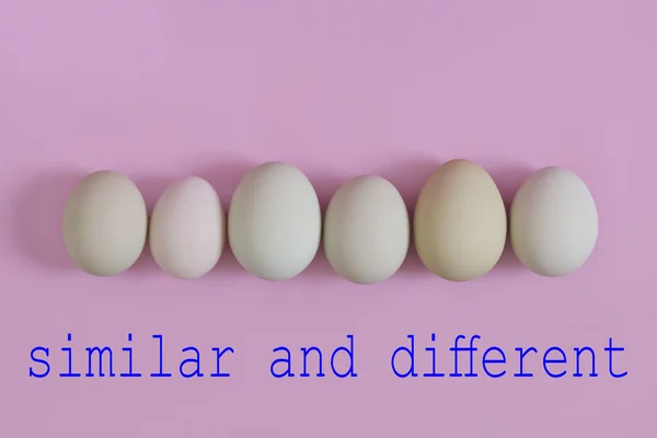 Foto conceptual con texto. Huevos similares pero diferentes — Foto de Stock