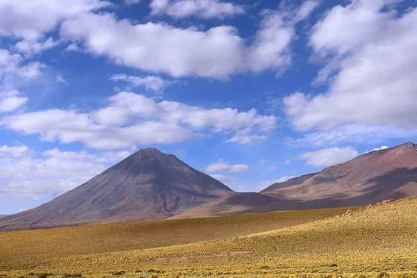 San Pedro de Atacama Şili 'deki Licancabur ve Juriques volkanı