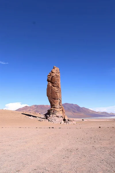 Atacama Çölü 'ndeki Büyük Pacana Keşişi