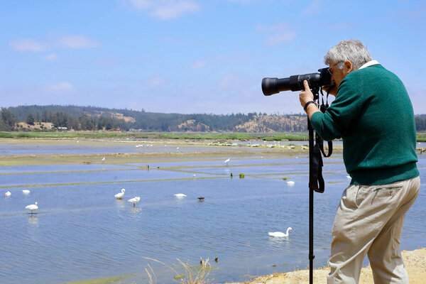 man with his camera enjoying his hobby of birdwatching in a wetl