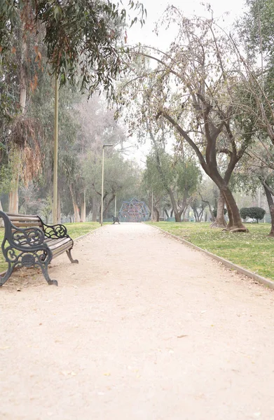 Winter landscape of a lonely park with an empty sidewalk on a cold gray cloudy day. Concept of loneliness and silence