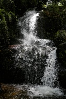 Beautiful waterfall in nature with crystal clear waterfalls.