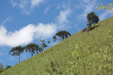 Beautiful blue sky in nature looking at the mountain