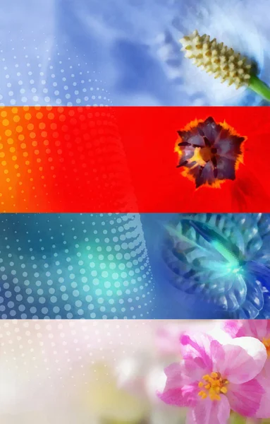 Petrol boyalı çiçek banner web tasarım, arka plan, photomanipulation, hobi ve / scrapbooking ihtiyaçları çok amaçlı kullanım için ayarla