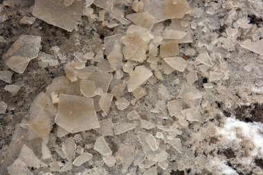 Kırık şeffaf buz, küçük buz parçaları donmuş bir su birikintisinin yanında yatıyor ve suda yüzüyor. Bahar ısınıyor, buz sokaklarda eriyor.. 