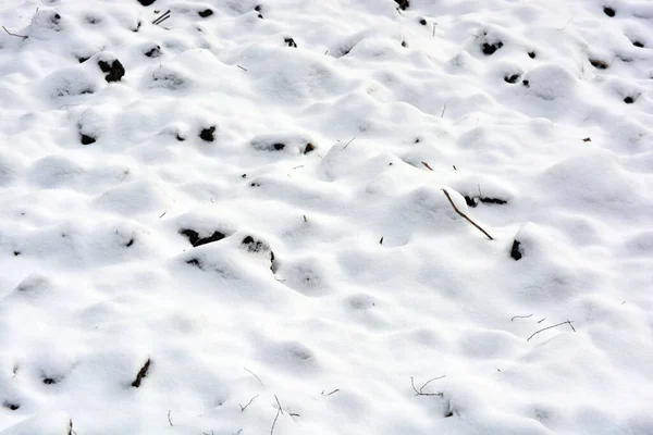 Bílý Načechraný Sníh Pokrytý Leží Černé Zemi Poli Zahradě — Stock fotografie