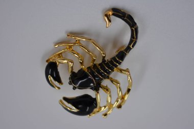 Zengin, güzel, parlak bir broş. Beyaz arka planda siyah ve altın renkli bir akrep şeklinde. Akrep burcu şeklinde metal ve yaldızlı pahalı ve kaliteli mücevherler..