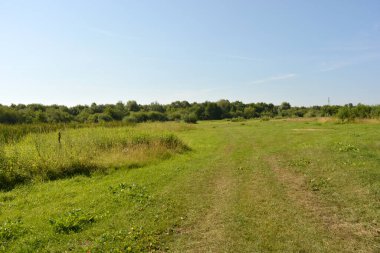 Beautiful fields, distant steppes, meadows with wild herbs, lush grass, forests with deciduous trees and fir. olorful landscapes, fabulous nature of the village Rybienko Nowe located under the city of Wyszkw in Poland.