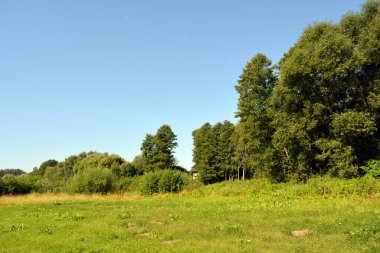 Güzel tarlalar, uzak bozkırlar, yabani otlarla otlar, yemyeşil otlar, yaprak döken ağaçlar ve köknar ağaçları. Renkli manzaralar, Rybienko Stare köyünün muhteşem doğası Polonya 'nın Wyszkow şehrinin altında yer almaktadır..