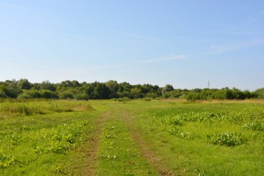Beautiful fields, distant steppes, meadows with wild herbs, lush grass, forests with deciduous trees and fir. olorful landscapes, fabulous nature of the village Rybienko Nowe located under the city of Wyszkw in Poland.