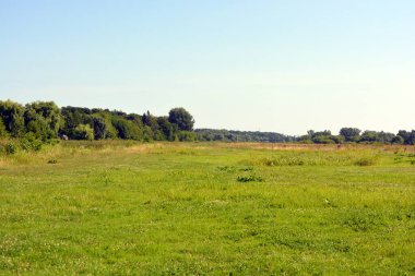 Güzel tarlalar, uzak bozkırlar, yabani otlarla otlar, yemyeşil otlar, yaprak döken ağaçlar ve köknar ağaçları. Renkli manzaralar, Rybienko Stare köyünün muhteşem doğası Polonya 'nın Wyszkow şehrinin altında yer almaktadır..