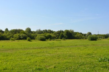 Beautiful fields, distant steppes, meadows with wild herbs, lush grass, forests with deciduous trees and fir. olorful landscapes, fabulous nature of the village Rybienko Nowe located under the city of Wyszkw in Poland.