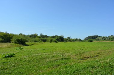 Beautiful fields, distant steppes, meadows with wild herbs, lush grass, forests with deciduous trees and fir. olorful landscapes, fabulous nature of the village Rybienko Nowe located under the city of Wyszkw in Poland.