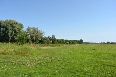 Güzel tarlalar, uzak bozkırlar, yabani otlarla otlar, yemyeşil otlar, yaprak döken ağaçlar ve köknar ağaçları. Renkli manzaralar, Polonya 'da bulunan Rybienko Nowe köyünün muhteşem doğası..