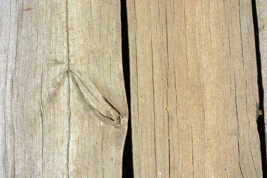 Old natural wooden boards with interesting patterns illuminated by sunbeams, wooden background.