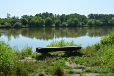 Beautiful and colorful natural landscapes of the Bug River - trees, hills, reeds, grass, water lilies, clear and transparent water. The river is located on the territory of the village of Rybienko Nowe, the city of Wyszkw, Poland.