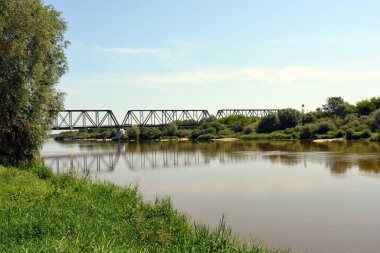 Böcek Nehri 'nin güzel ve renkli doğal manzaraları - ağaçlar, tepeler, sazlıklar, çimenler, nilüferler, berrak ve şeffaf su. Nehir Polonya 'nın Wyszkow kentindeki Rybienko Nowe köyünde yer almaktadır..