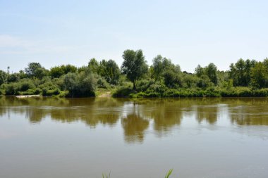 Beautiful and colorful natural landscapes of the Bug River - trees, hills, reeds, grass, water lilies, clear and transparent water. The river is located on the territory of the village of Rybienko Nowe, the city of Wyszkw, Poland.