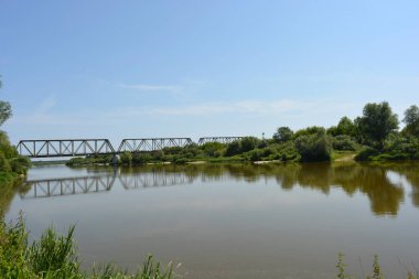 Beautiful and colorful natural landscapes of the Bug River - trees, hills, reeds, grass, water lilies, clear and transparent water. The river is located on the territory of the village of Rybienko Nowe, the city of Wyszkw, Poland.