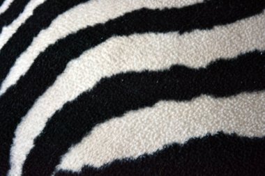 Soft, pleasant, fluffy fabric in the form of zebra, white tiger colors. Fabric animal background consisting of black and white chaotic lines, stripes, cracks.