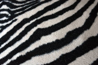 Soft, pleasant, fluffy fabric in the form of zebra, white tiger colors. Fabric animal background consisting of black and white chaotic lines, stripes, cracks.