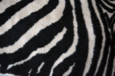 Soft, pleasant, fluffy fabric in the form of zebra, white tiger colors. Fabric animal background consisting of black and white chaotic lines, stripes, cracks.