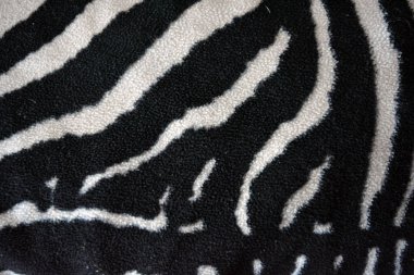 Soft, pleasant, fluffy fabric in the form of zebra, white tiger colors. Fabric animal background consisting of black and white chaotic lines, stripes, cracks.
