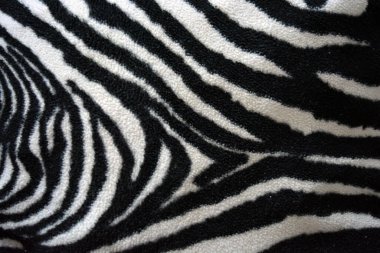Soft, pleasant, fluffy fabric in the form of zebra, white tiger colors. Fabric animal background consisting of black and white chaotic lines, stripes, cracks.