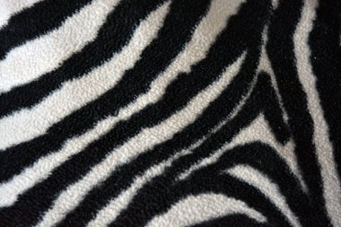 Soft, pleasant, fluffy fabric in the form of zebra, white tiger colors. Fabric animal background consisting of black and white chaotic lines, stripes, cracks.