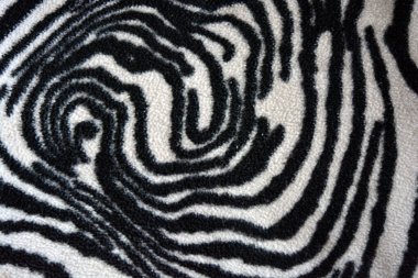 Soft, pleasant, fluffy fabric in the form of zebra, white tiger colors. Fabric animal background consisting of black and white chaotic lines, stripes, cracks.