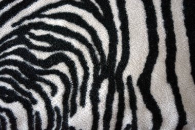 Soft, pleasant, fluffy fabric in the form of zebra, white tiger colors. Fabric animal background consisting of black and white chaotic lines, stripes, cracks.
