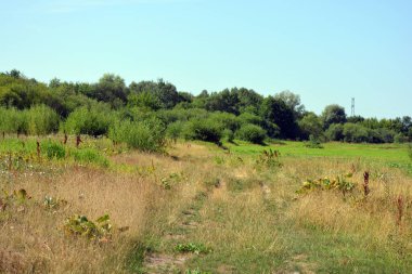 Beautiful fields, distant steppes, meadows with wild herbs, lush grass, forests with deciduous trees and fir. olorful landscapes, fabulous nature of the village Rybienko Nowe located under the city of Wyszkw in Poland.