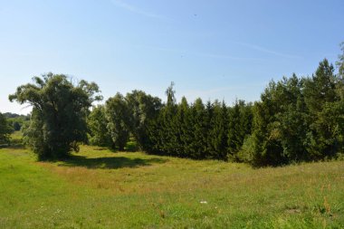 Beautiful fields, distant steppes, meadows with wild herbs, lush grass, forests with deciduous trees and fir. olorful landscapes, fabulous nature of the village Rybienko Nowe located under the city of Wyszkw in Poland.