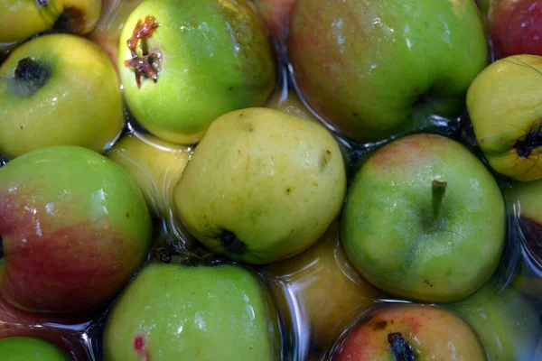 First Juicy Small Green Apples Red Yellow Dark Spots Float — Foto Stock