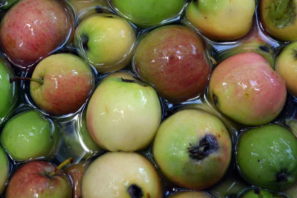 First Juicy Small Green Apples Red Yellow Dark Spots Float — Stok fotoğraf