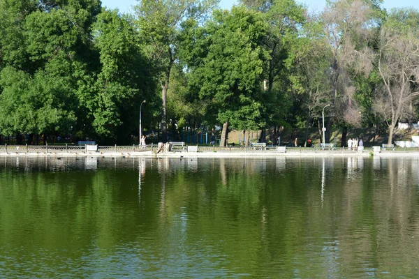 Central City Family Amusement Park Beautiful Landscaping Park Has Lake — Stock Fotó